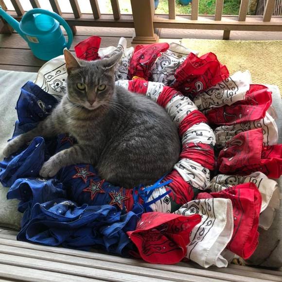 Meet your Posher, Linda - Picture 1 of 1